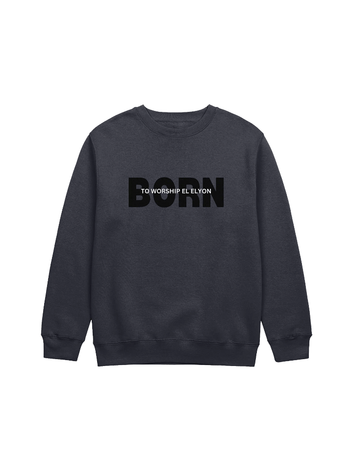 Elevated Worship Crewneck Sweatshirt product image (3)