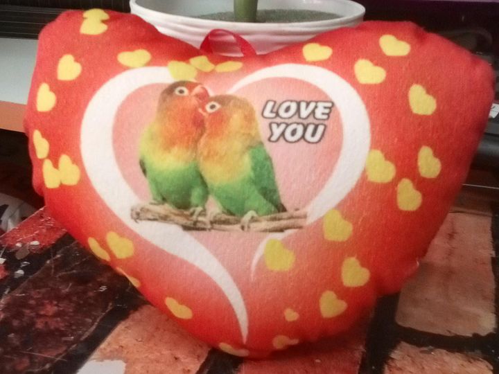 HEART PILLOW product image (1)