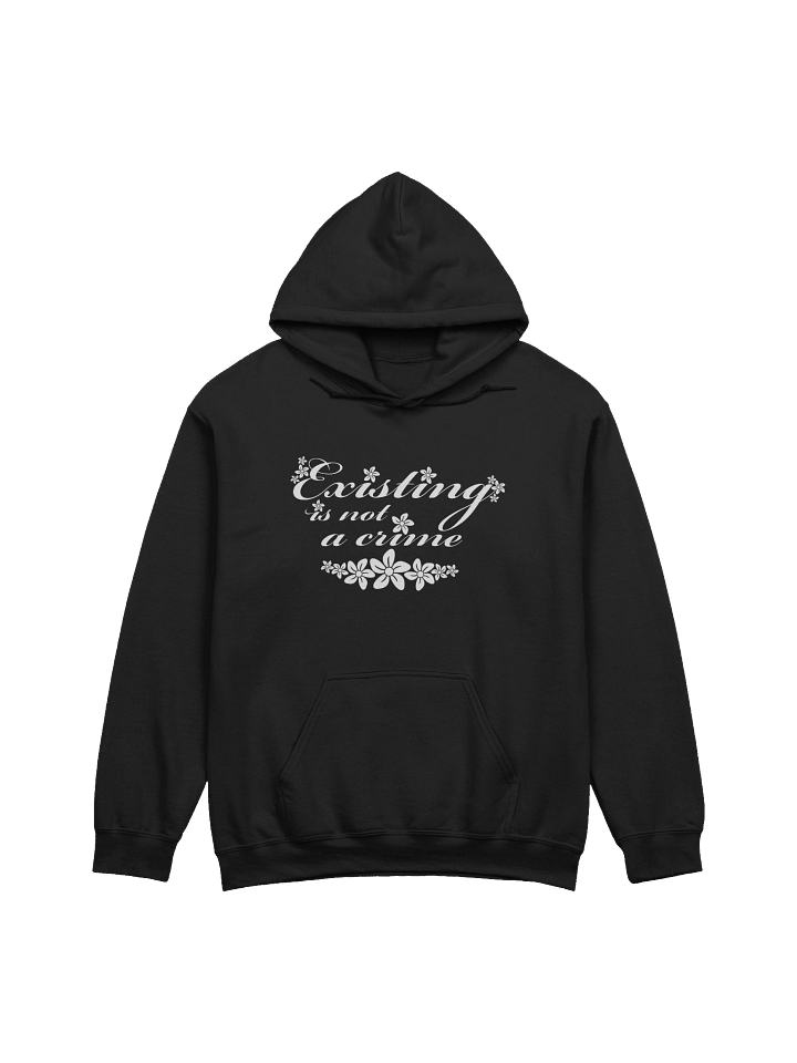 Existing Hoodie product image (1)