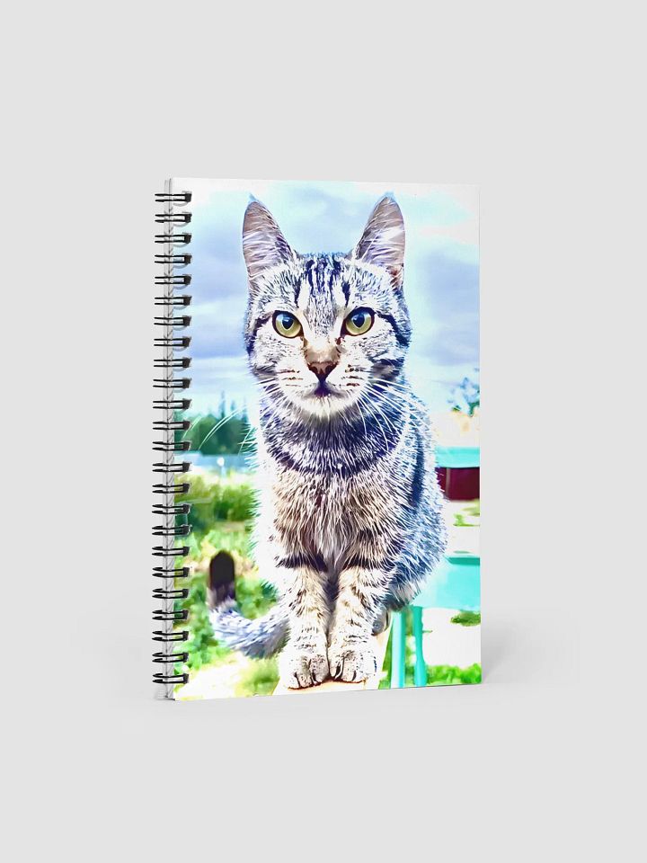 Блокнот на спирали на 140 product image (1)