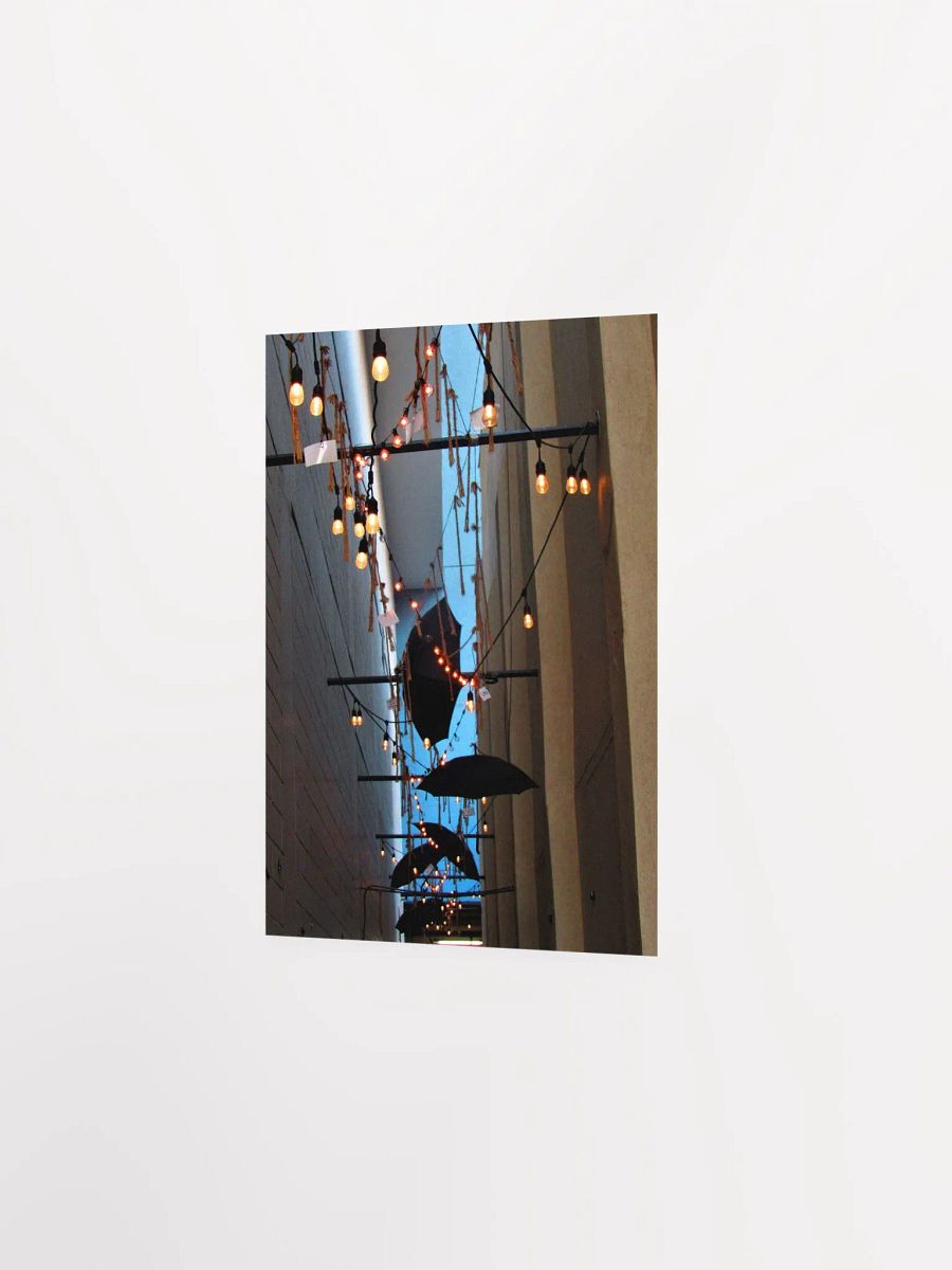Hanging Umbrella 2 product image (15)