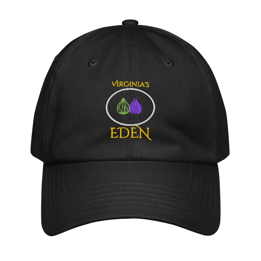 Onion Dad Hat product image (1)