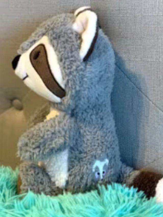 Trash Panda Plushie product image (3)