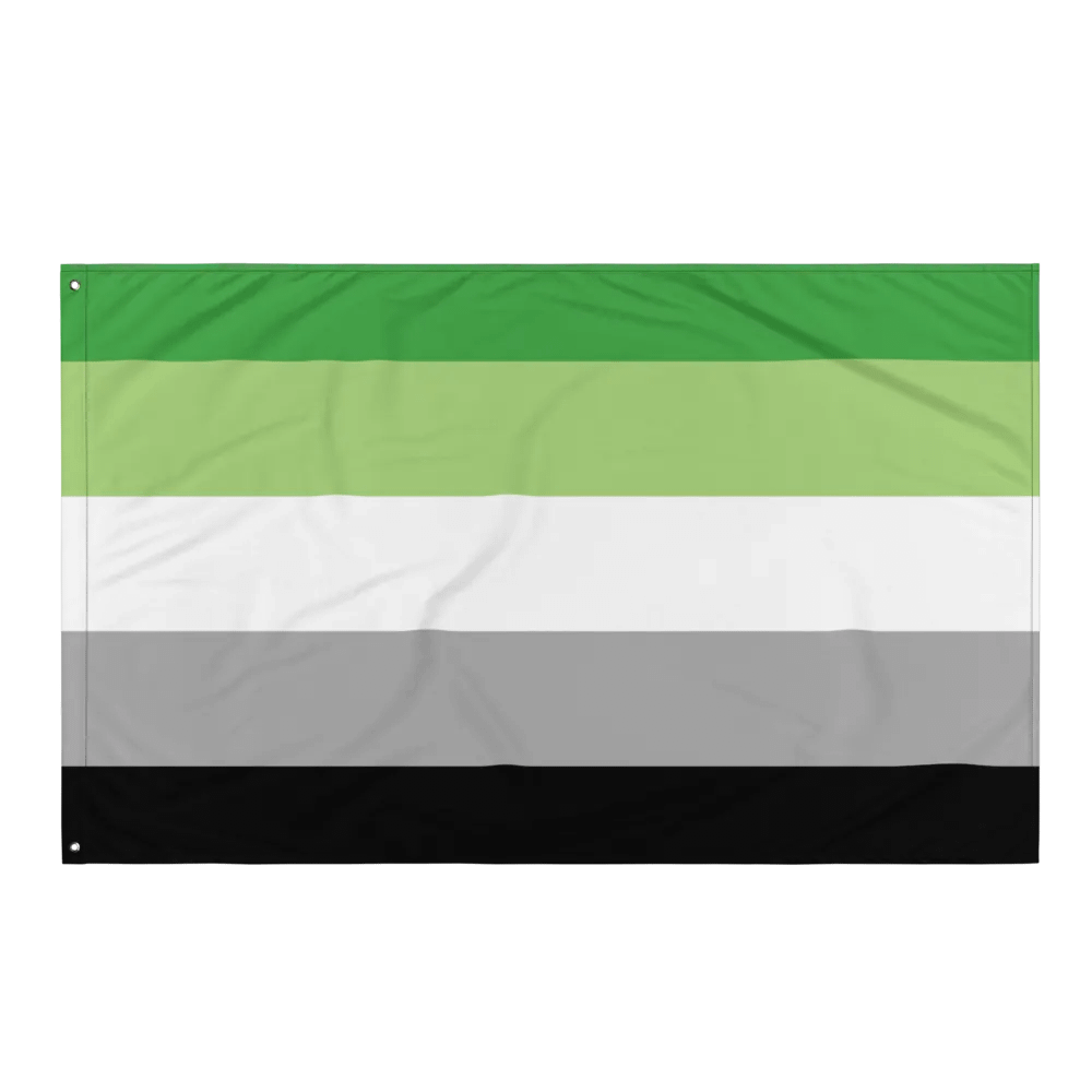 Aromantic Flag product image (3)
