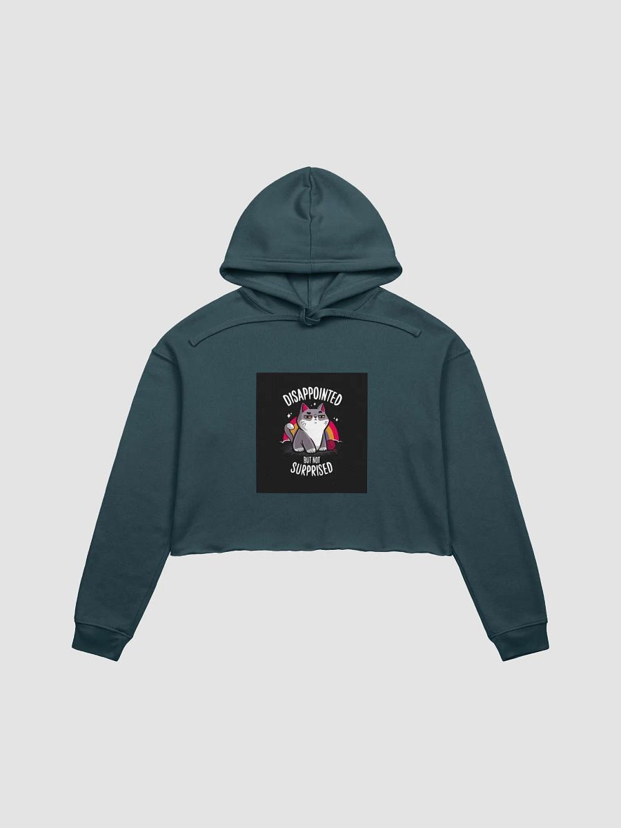 Disappointed But Not Surprised Cat Crop Hoodie product image (7)