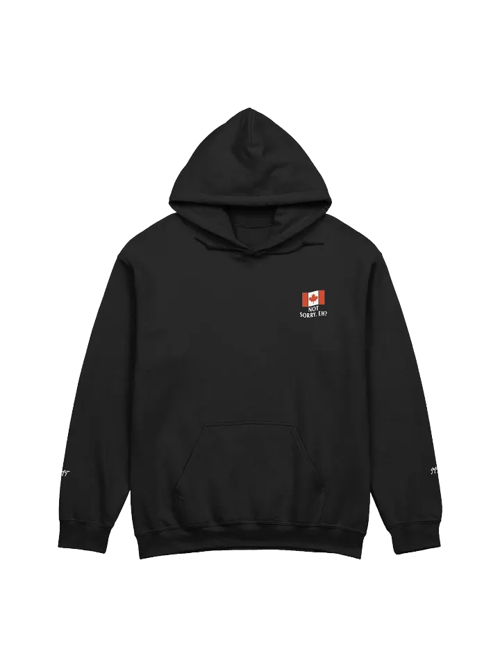 MT - "Unapologetically Canadian" Hoodie product image (29)