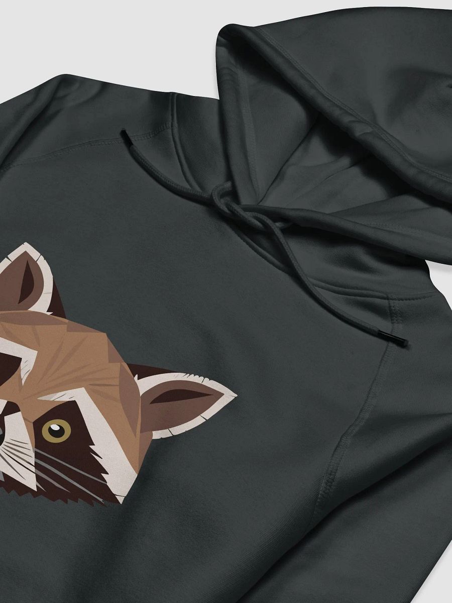 Raccoon hoodie product image (3)