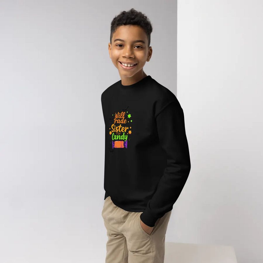 Will Trade Sister For Candy Youth Sweatshirt product image (3)