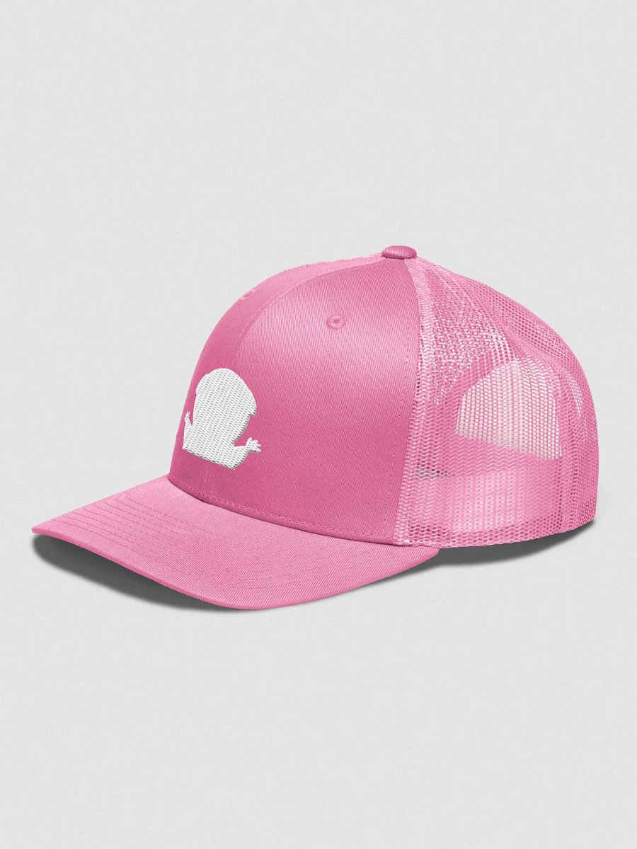 FIRESNOUT PINK AND WHITE HAT product image (2)