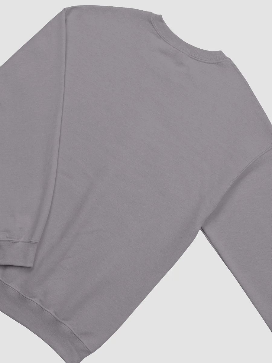 COMMUNITY OVER COMPETITION SWEATSHIRT | Community Over Competition Collection product image (4)