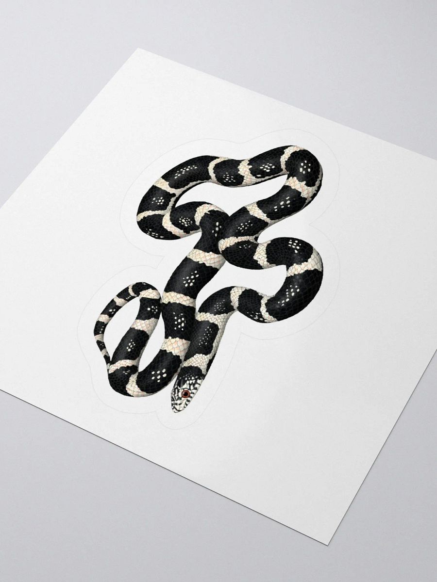 Die-Cut Sticker – Longnosed Snake Clarus Phase product image (3)