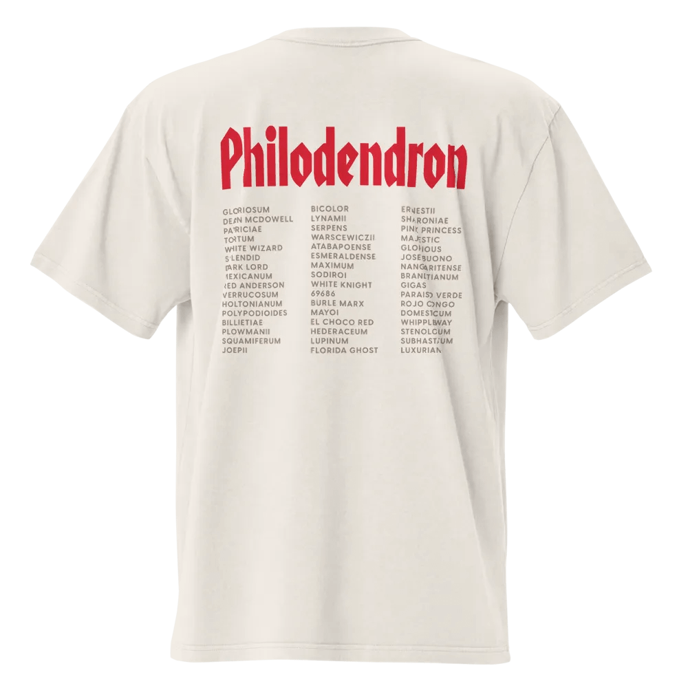 ⚡️ PHILODENDRON WORLD TOUR ⚡️ oversized tee product image (3)