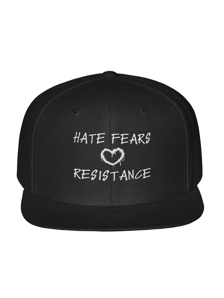 Hate Fears Resistance Wool Snapback product image (1)