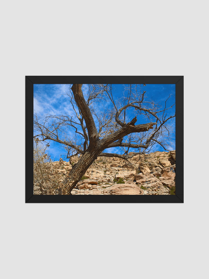 tree line Framed photography Poster product image (1)