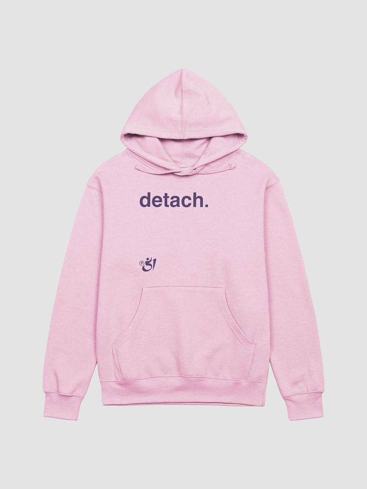 detach. hoodie product image (1)