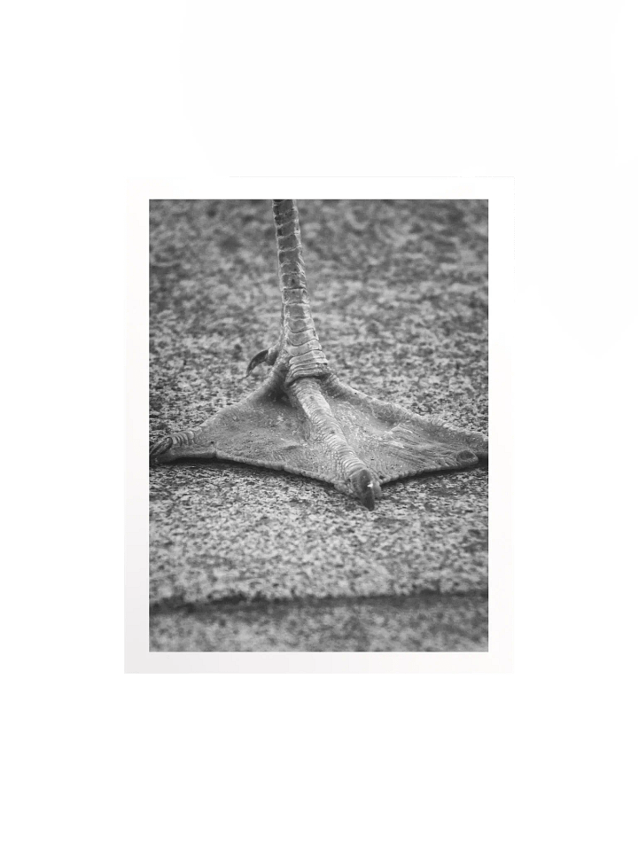 Artistic Print product image (1)