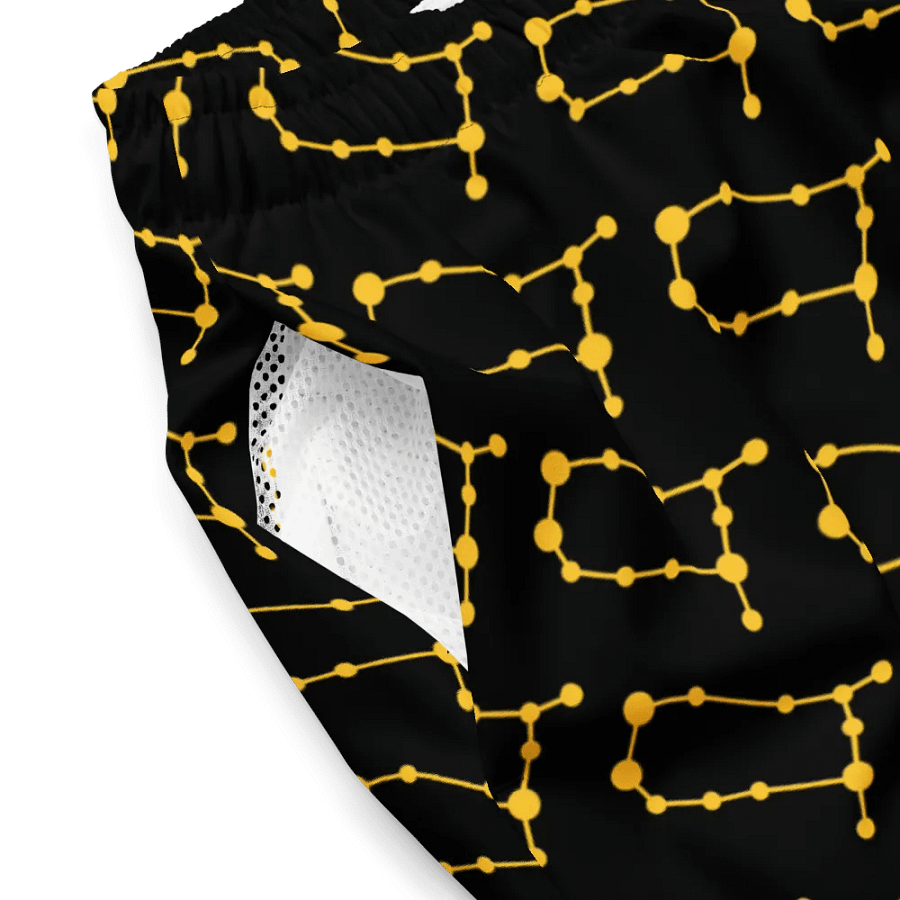 Sunburst Gemini Swim Shorts product image (4)