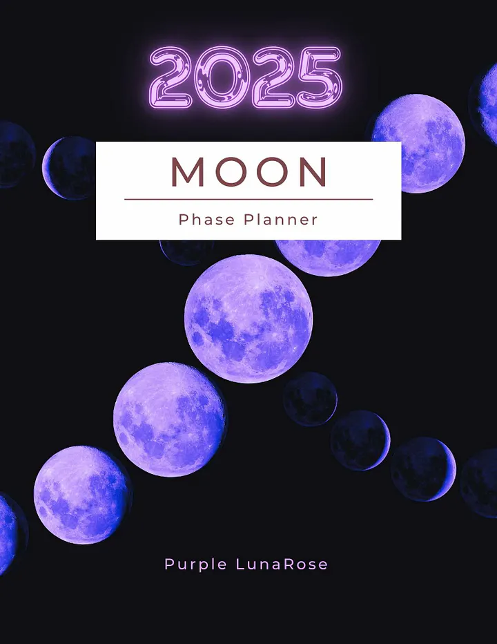 2025 Moon Phase Planner product image (1)