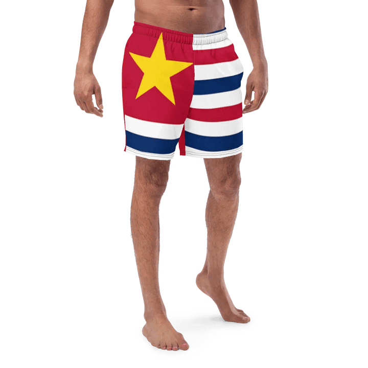 LA SwimTrunks product image (1)