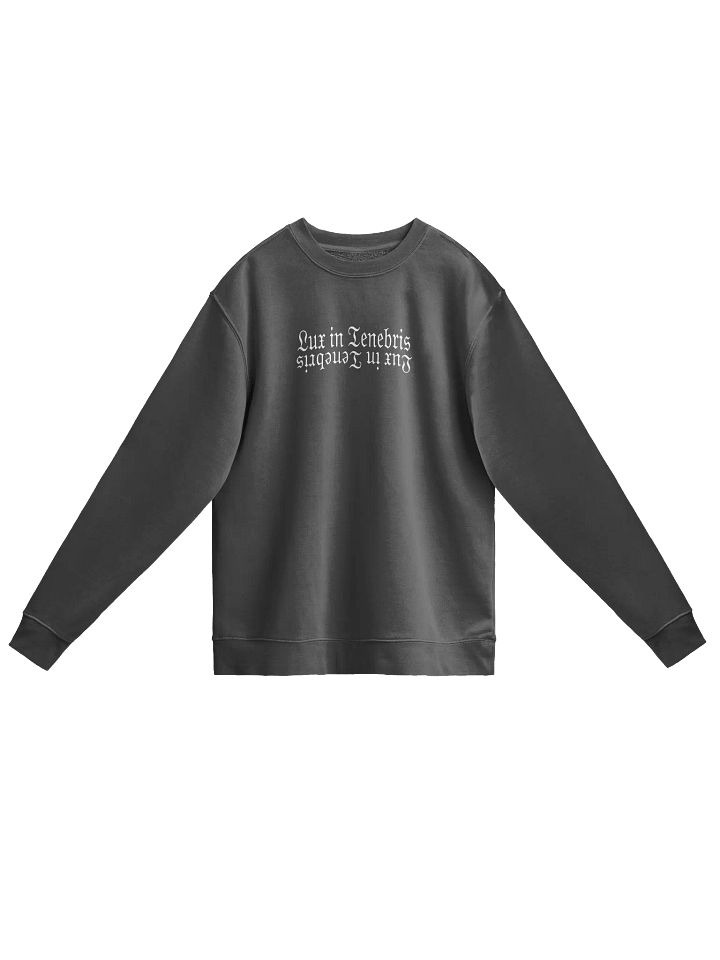 In Light Sweatshirt product image (1)