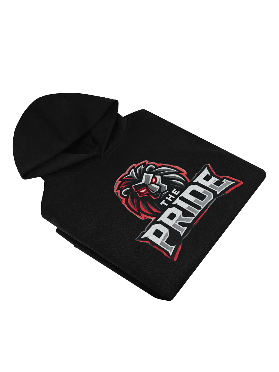 The Pride Hoodie product image (5)