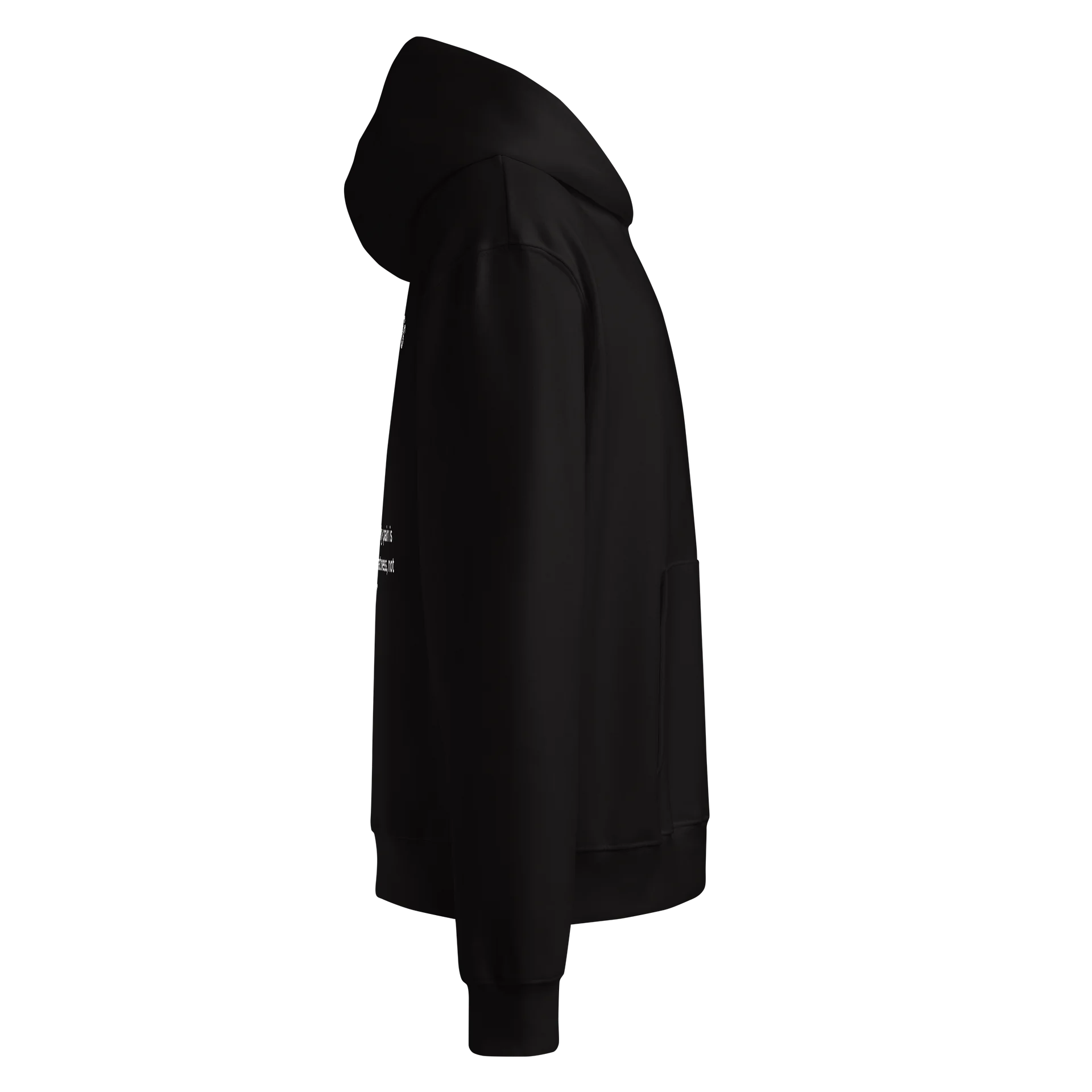 Raven Oversized Hoodie product image (5)