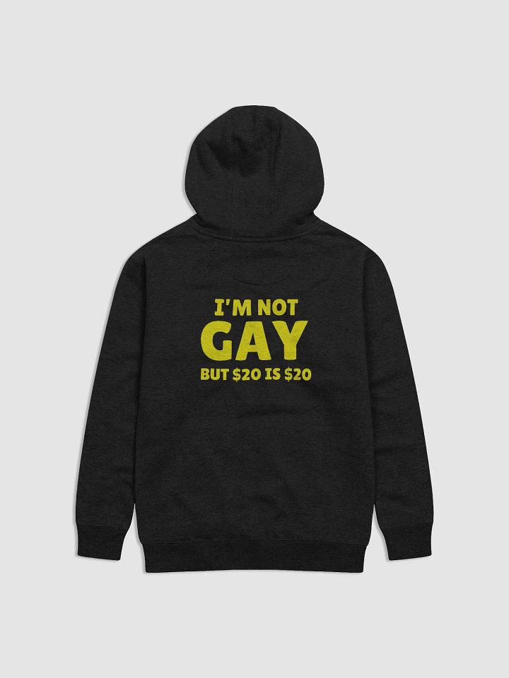 Not Gay But $20 is $20 Back Print Hoodie product image (1)