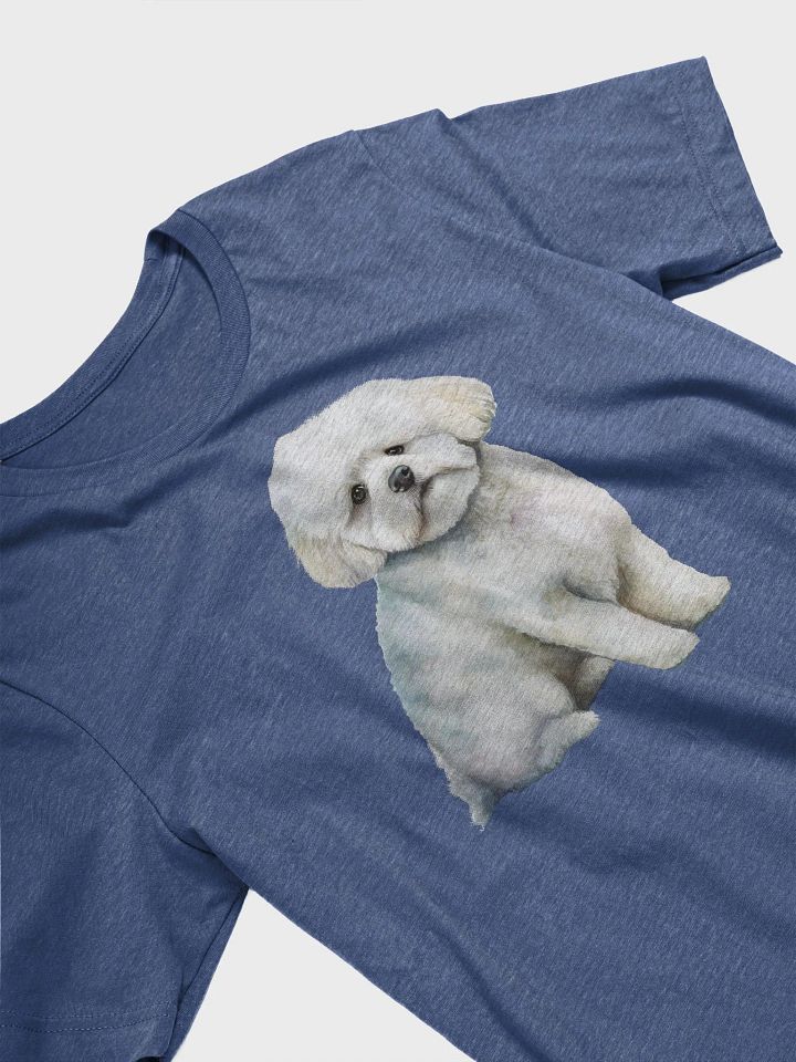 Bichon Frisé product image (2)