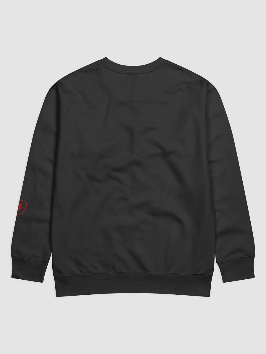 TONEWRK Merch Sweatshirt 1 product image (6)