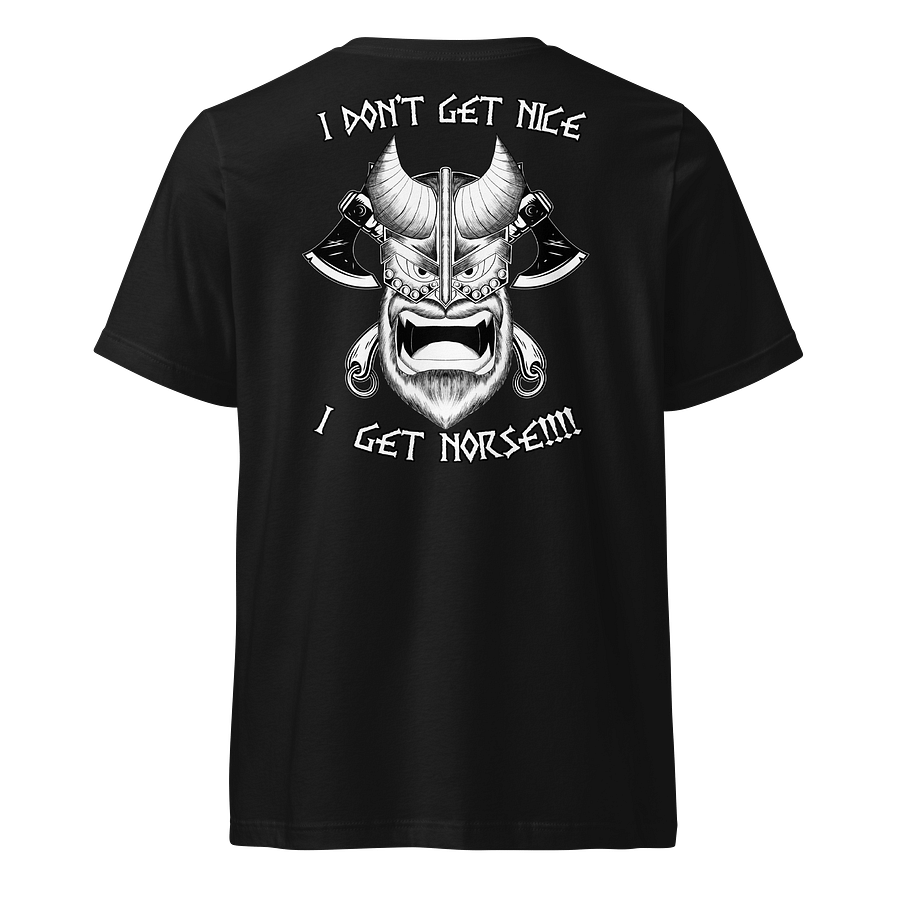 I don't get nice, I get Norse!!! (V neck Back) product image (1)