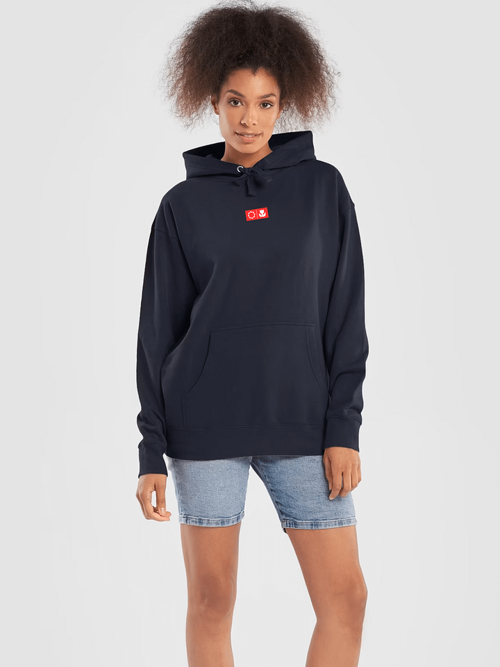 FRAME EMBROIDERED HOODIE product image (5)