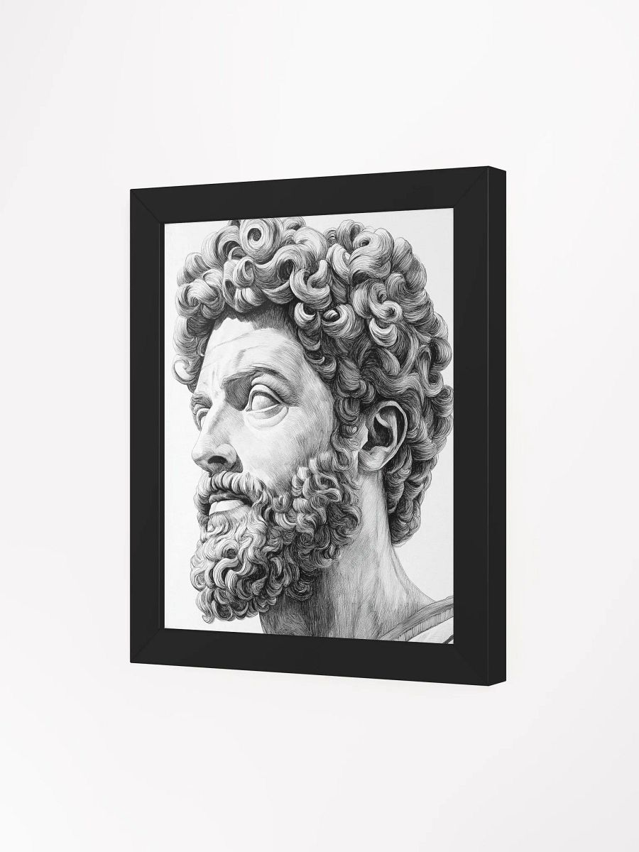 Marcus Aurelius: The Stoic's Gaze product image (3)