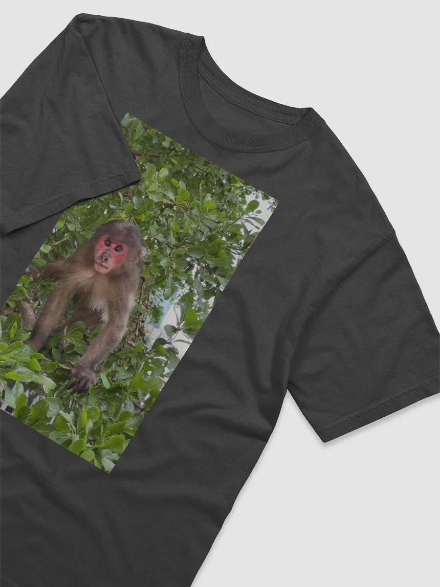 Monkey Coca product image (3)
