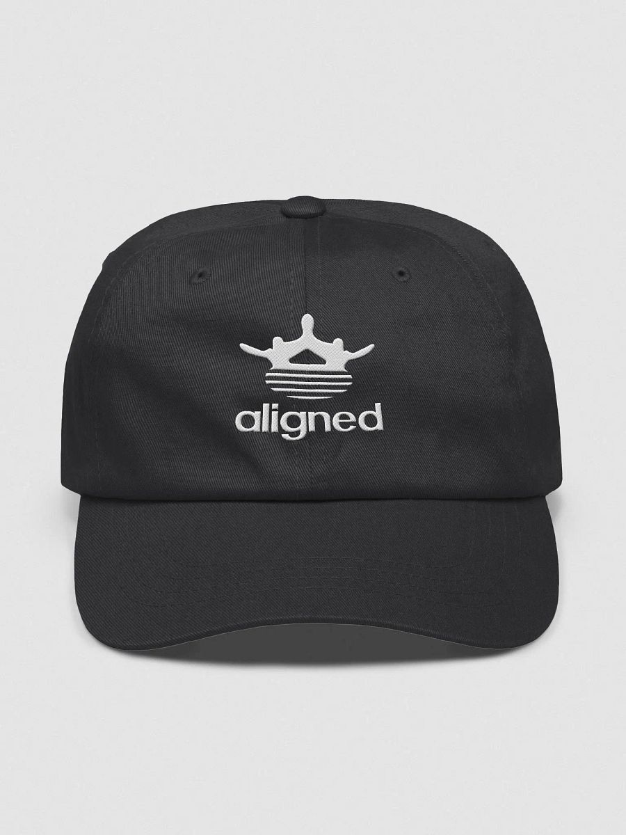 Aligned Hat product image (1)