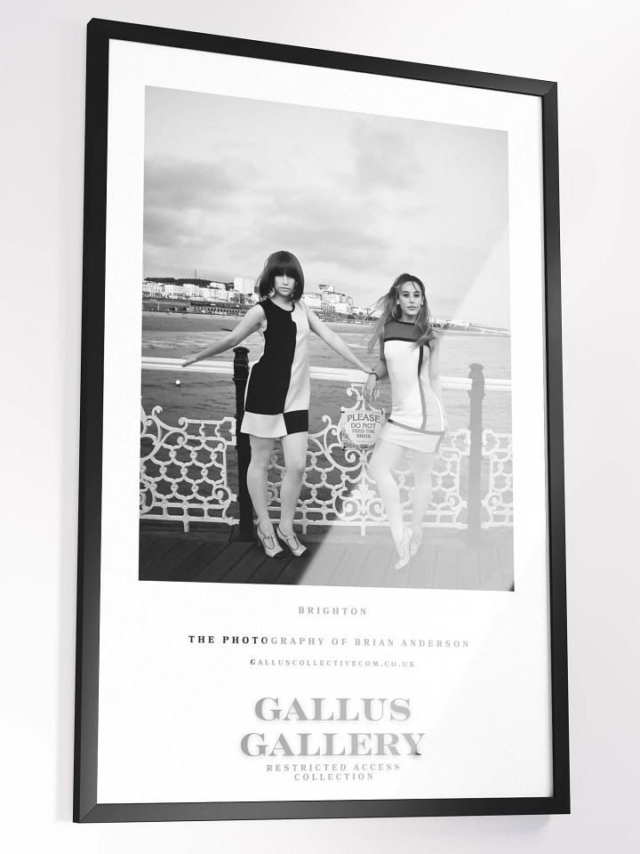 The Gallus Gallery - Brighton Don't Feed The Birds product image (2)
