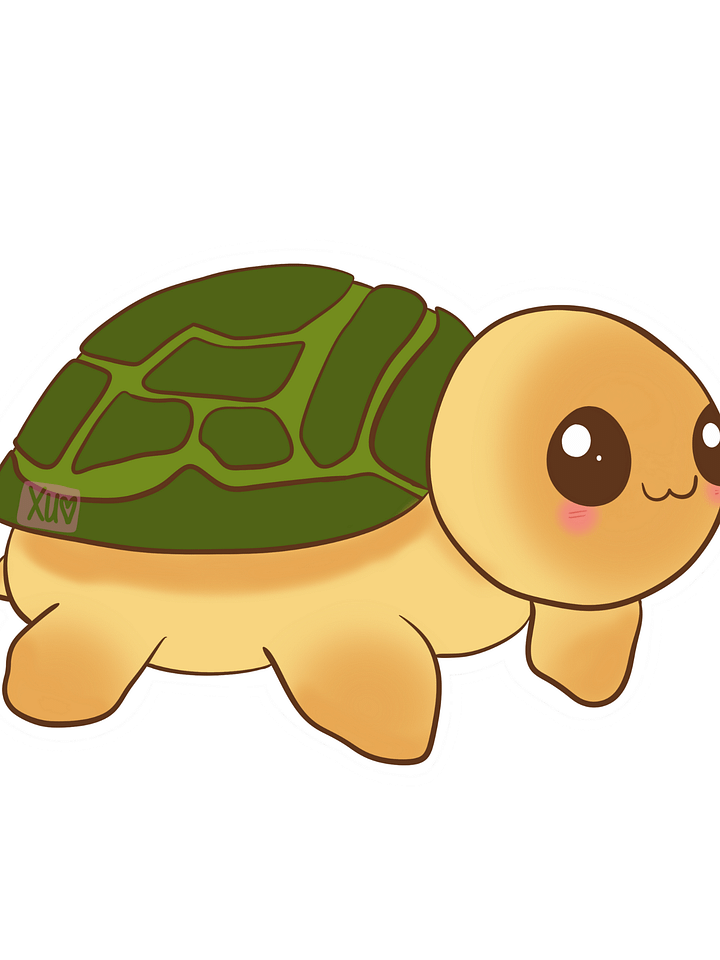 Concha Turtle product image (1)