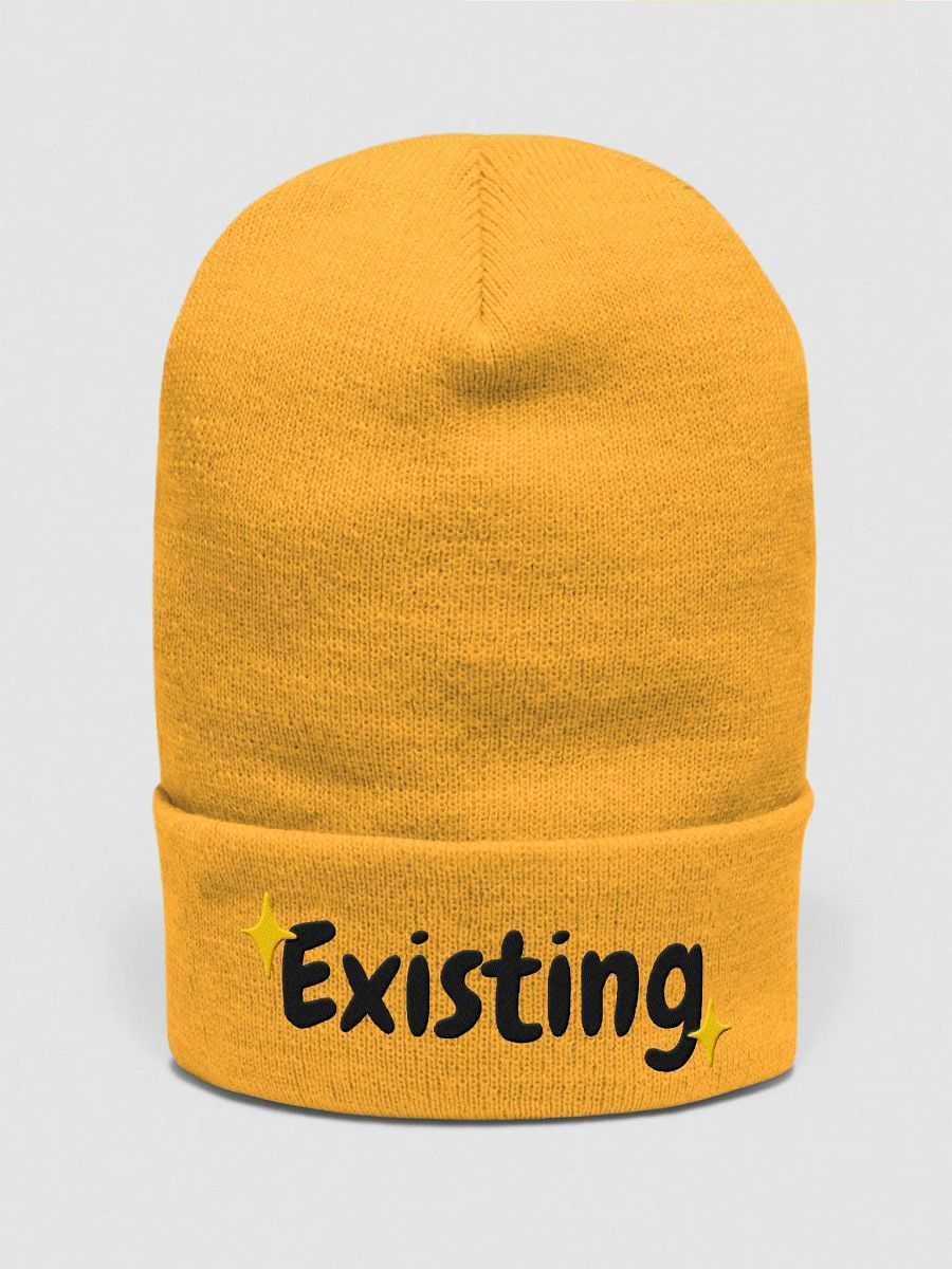 Existing Beanie | Black Lettering product image (1)