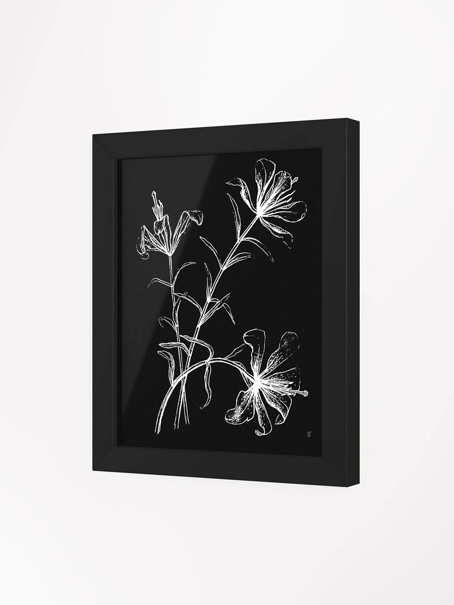 Ethereal Blossoms Framed Poster - Wild Elegant Flowers Dark product image (9)