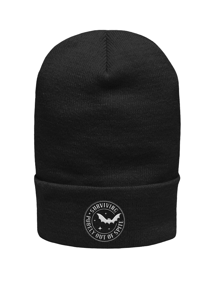 Spite beanie product image (1)