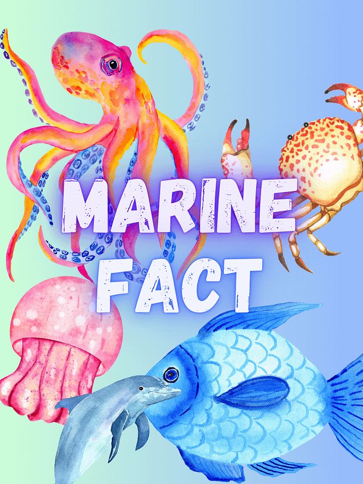 Marine Fact Sponsor June 2025 product image (1)