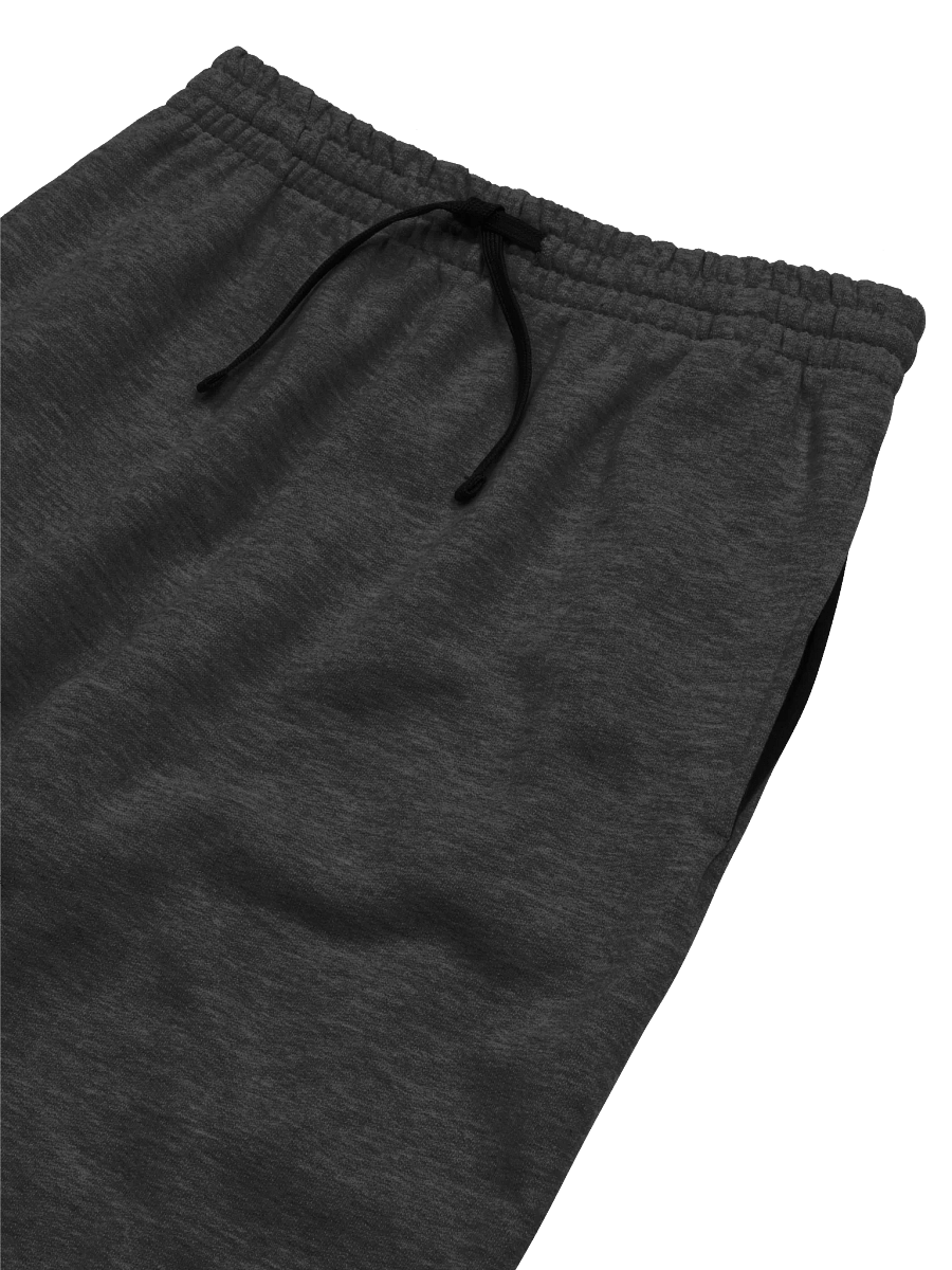 NIGHT RAVEN JOGGERS product image (1)