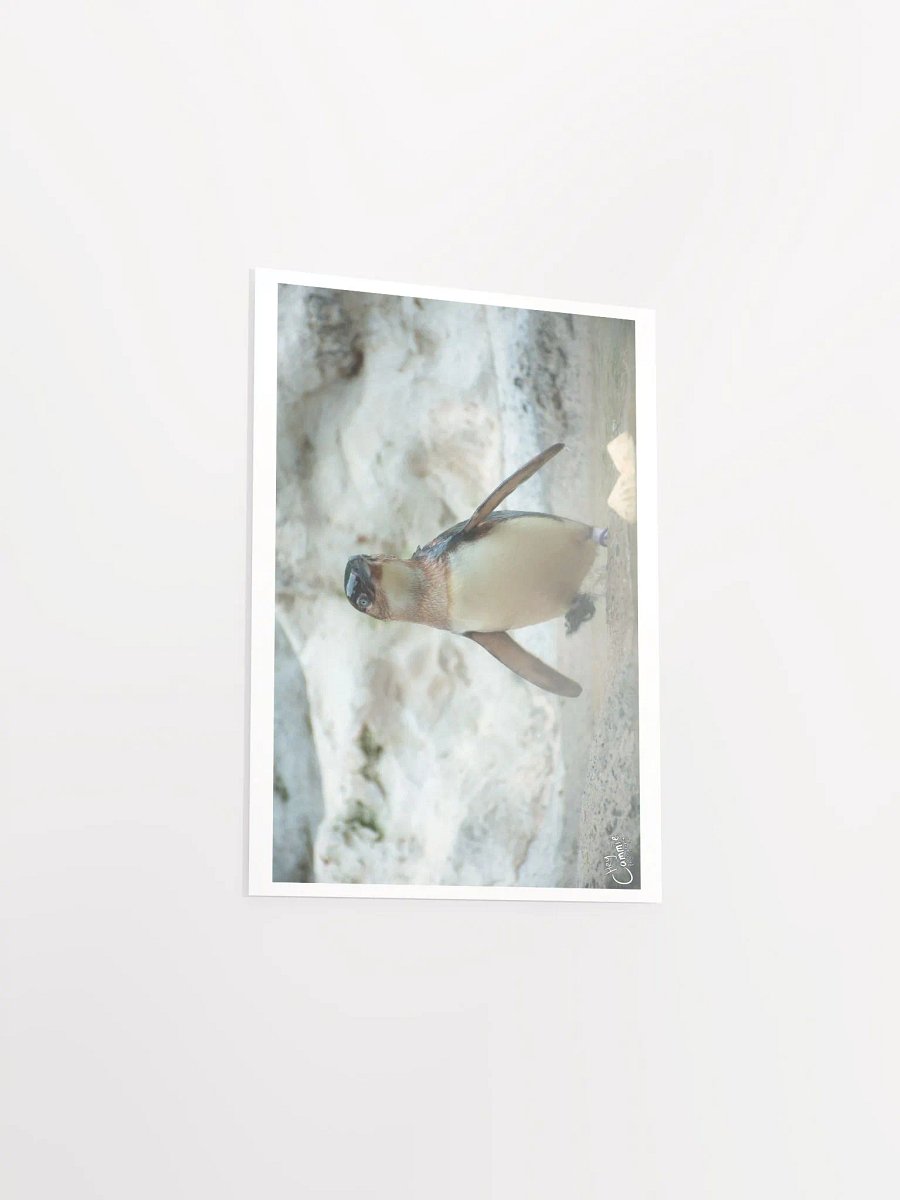 Penguins March - Print product image (3)