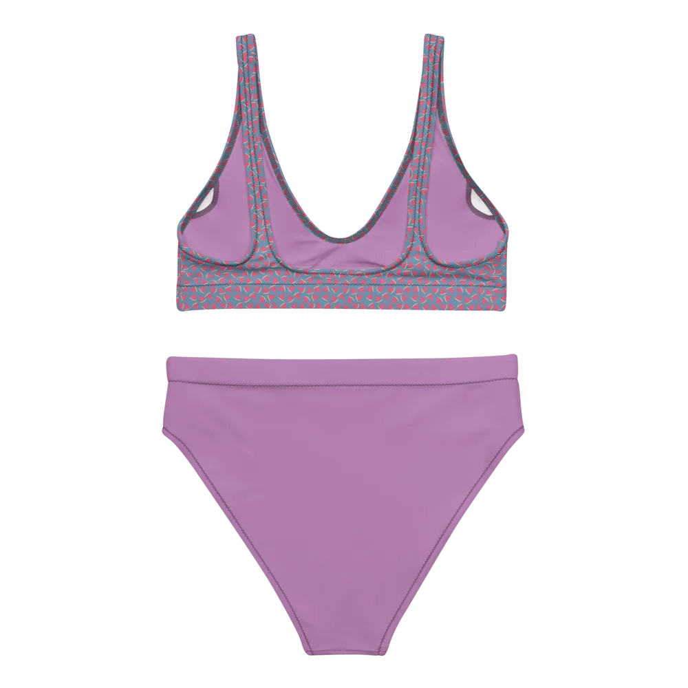 Small Watermelon Patterns Bikini product image (4)