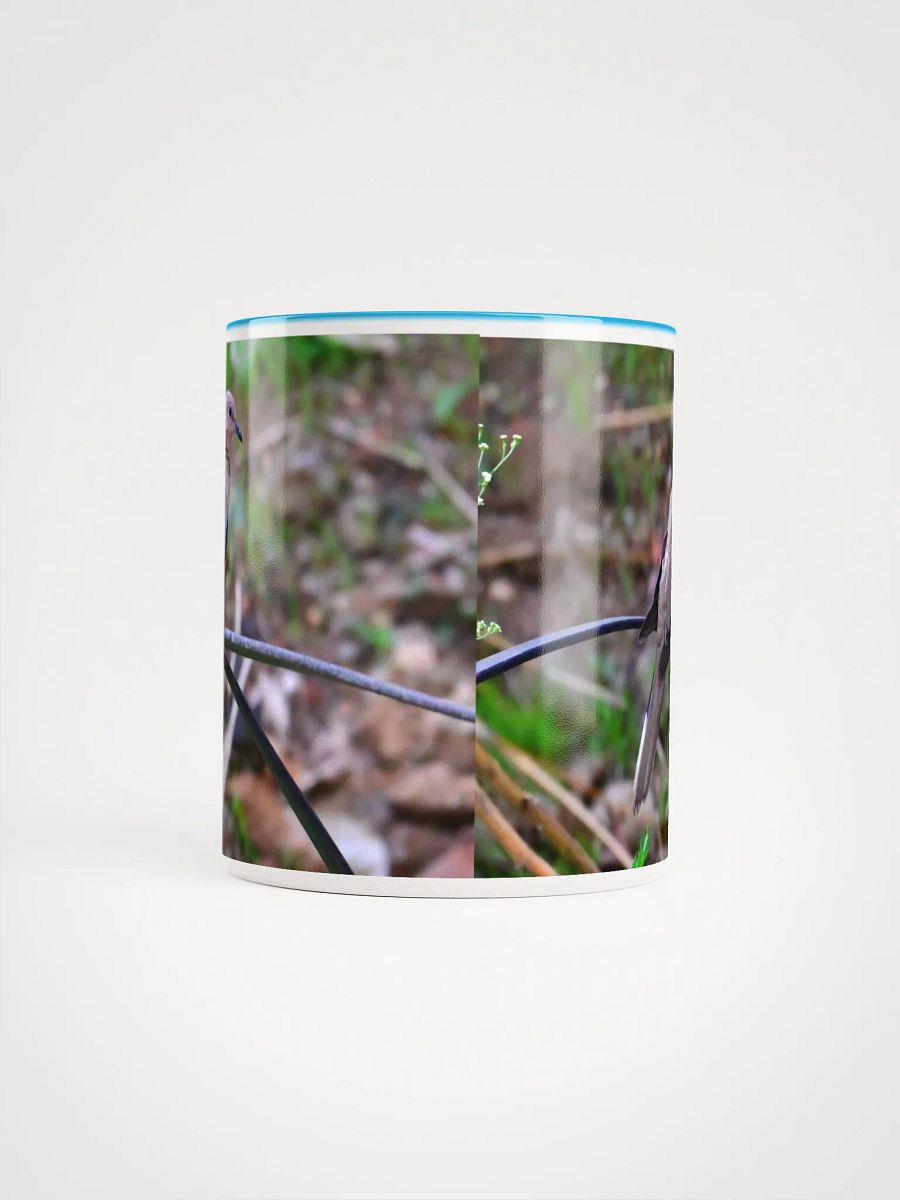 IUCAA Birds MUG product image (5)