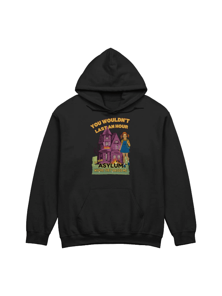 You Would't Last An Hour In The Asylum Where They Raised Me Hoodie product image (1)