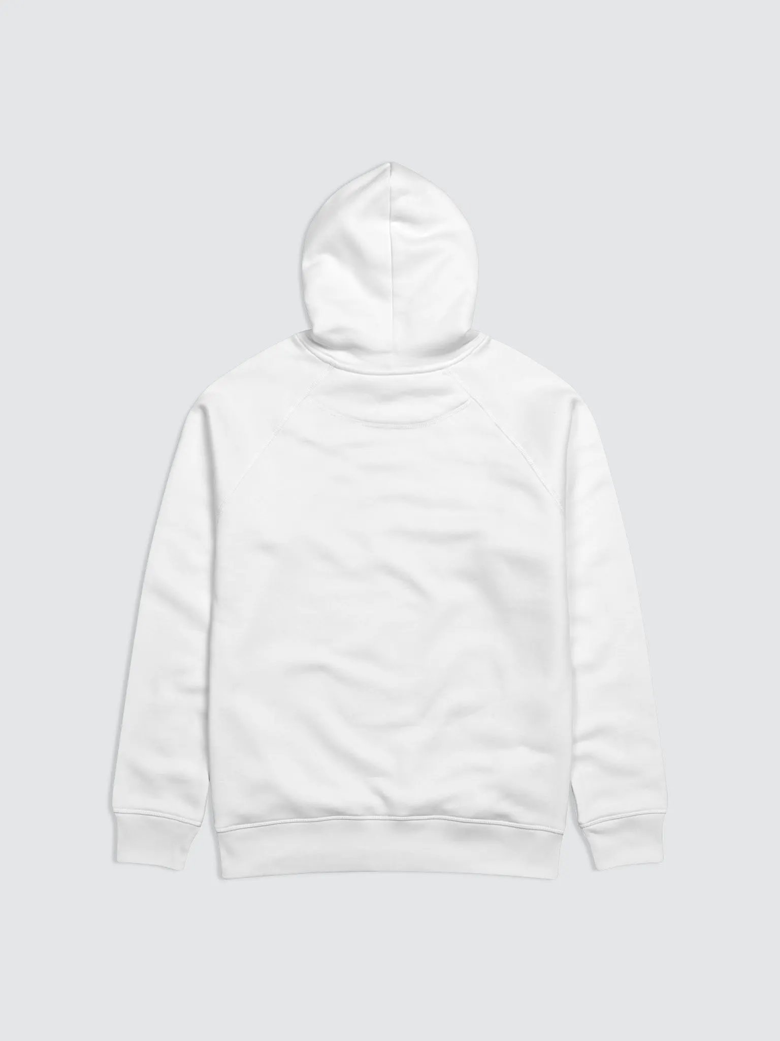 Power In the Blood | Organic Cotton | Hoodie Male product image (3)