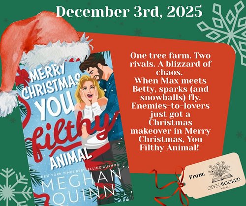 ✨ DAY 3 OF BOOKMAS ✨
Today’s read by @meghanquinnbooks is giving ✨ holiday sparkle ✨and lots of spicy feels! #books #bookstag...