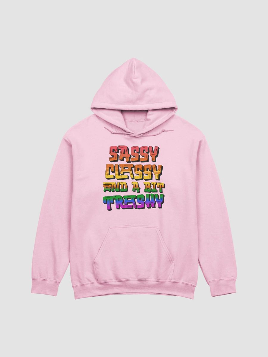 Sassy Classy And A Bit Trashy Hoodie product image (28)