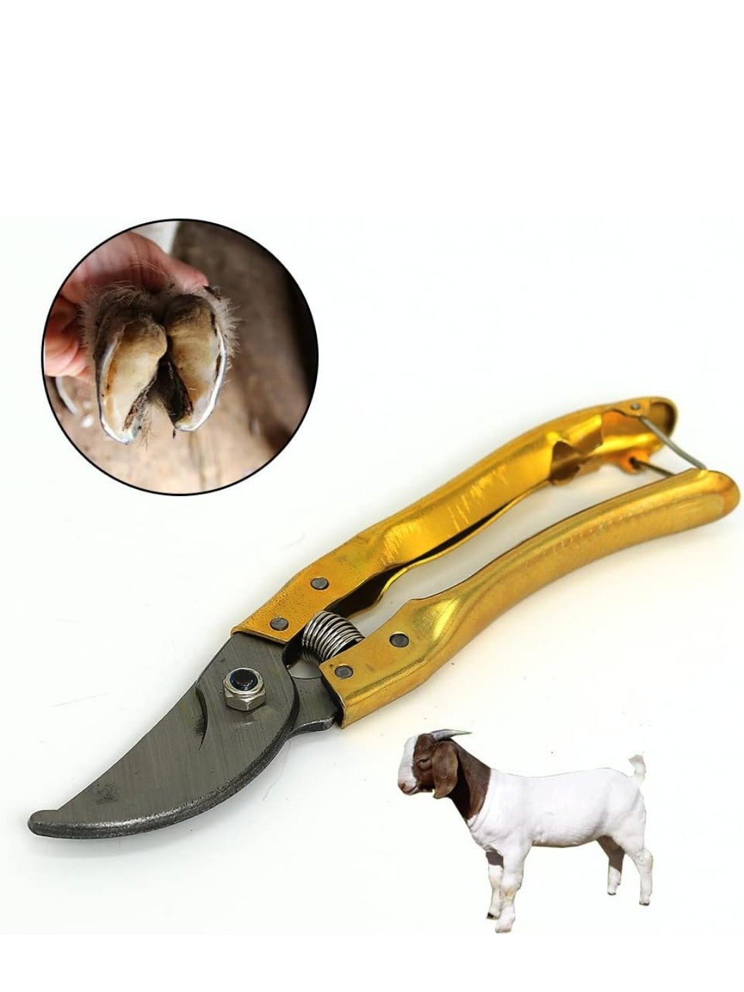 CJ farms and Agritech Professional Hoof Cutting Tool for Goats and Sheep Heavy Duty Stainless Steel Trimming Shears with Ergonomic Handle, Ideal for Goat and Sheep hoof Care Tool product image (1)