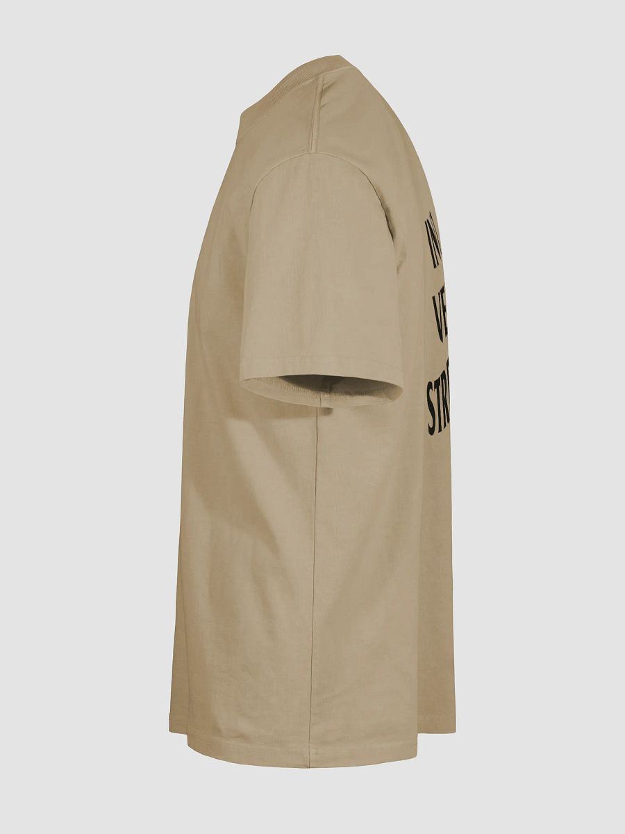 Introverted Streamer Club Oversized Tee product image (27)